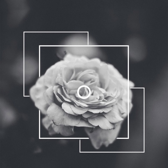 Meet your Posher, Nevada - Picture 1 of 1